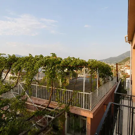 Appartement Roof